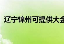 遼寧錦州可提供大金空調(diào)維修服務地址在哪