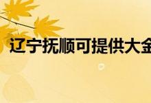 遼寧撫順可提供大金空調(diào)維修服務地址在哪