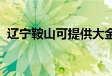遼寧鞍山可提供大金空調(diào)維修服務地址在哪