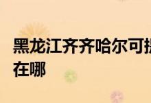 黑龍江齊齊哈爾可提供志高空調維修服務地址在哪