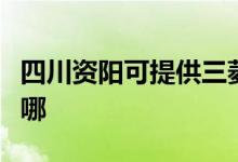 四川資陽可提供三菱電機空調(diào)維修服務(wù)地址在哪