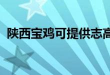 陜西寶雞可提供志高空調維修服務地址在哪