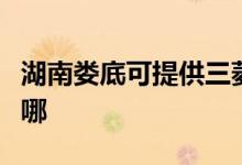 湖南婁底可提供三菱電機(jī)空調(diào)維修服務(wù)地址在哪