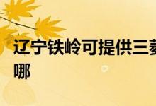 遼寧鐵嶺可提供三菱電機(jī)空調(diào)維修服務(wù)地址在哪