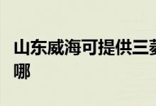 山東威海可提供三菱電機(jī)空調(diào)維修服務(wù)地址在哪