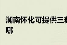 湖南懷化可提供三菱電機(jī)空調(diào)維修服務(wù)地址在哪