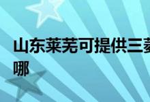 山東萊蕪可提供三菱電機(jī)空調(diào)維修服務(wù)地址在哪