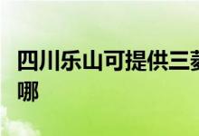 四川樂山可提供三菱重工空調(diào)維修服務(wù)地址在哪