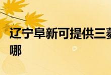 遼寧阜新可提供三菱重工空調維修服務地址在哪