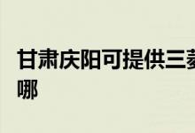 甘肅慶陽可提供三菱重工空調(diào)維修服務(wù)地址在哪