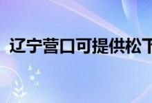 遼寧營(yíng)口可提供松下空調(diào)維修服務(wù)地址在哪