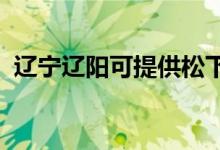 遼寧遼陽(yáng)可提供松下空調(diào)維修服務(wù)地址在哪