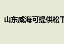 山東威?？商峁┧上驴照{(diào)維修服務(wù)地址在哪