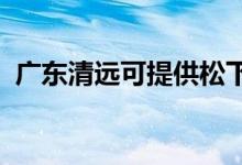 廣東清遠(yuǎn)可提供松下空調(diào)維修服務(wù)地址在哪