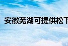 安徽蕪湖可提供松下空調(diào)維修服務地址在哪
