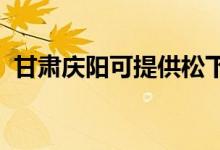 甘肅慶陽(yáng)可提供松下空調(diào)維修服務(wù)地址在哪