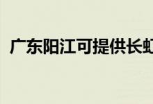 廣東陽江可提供長虹空調(diào)維修服務地址在哪