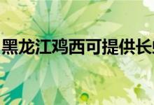 黑龍江雞西可提供長(zhǎng)虹空調(diào)維修服務(wù)地址在哪