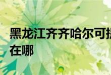 黑龍江齊齊哈爾可提供長(zhǎng)虹空調(diào)維修服務(wù)地址在哪