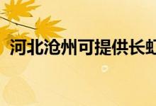 河北滄州可提供長(zhǎng)虹空調(diào)維修服務(wù)地址在哪