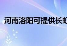 河南洛陽(yáng)可提供長(zhǎng)虹空調(diào)維修服務(wù)地址在哪