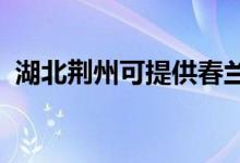 湖北荊州可提供春蘭空調(diào)維修服務(wù)地址在哪