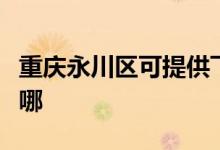 重慶永川區(qū)可提供飛利浦空調維修服務地址在哪