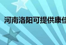河南洛陽可提供康佳空調(diào)維修服務(wù)地址在哪