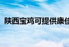 陜西寶雞可提供康佳空調(diào)維修服務(wù)地址在哪