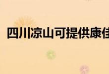 四川涼山可提供康佳空調(diào)維修服務(wù)地址在哪