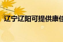 遼寧遼陽可提供康佳空調(diào)維修服務(wù)地址在哪