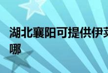 湖北襄陽(yáng)可提供伊萊克斯空調(diào)維修服務(wù)地址在哪