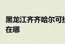 黑龍江齊齊哈爾可提供康佳空調(diào)維修服務(wù)地址在哪