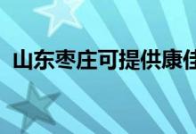 山東棗莊可提供康佳空調(diào)維修服務(wù)地址在哪