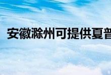 安徽滁州可提供夏普空調(diào)維修服務(wù)地址在哪