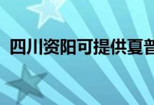 四川資陽可提供夏普空調(diào)維修服務地址在哪