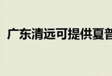 廣東清遠(yuǎn)可提供夏普空調(diào)維修服務(wù)地址在哪