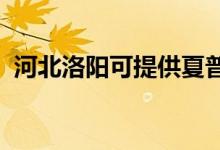 河北洛陽可提供夏普空調維修服務地址在哪