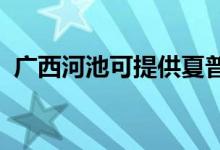 廣西河池可提供夏普空調(diào)維修服務(wù)地址在哪