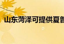 山東菏澤可提供夏普空調(diào)維修服務地址在哪