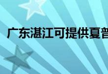 廣東湛江可提供夏普空調(diào)維修服務(wù)地址在哪