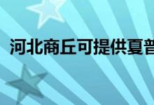 河北商丘可提供夏普空調維修服務地址在哪