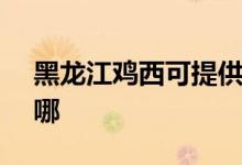 黑龍江雞西可提供SKG空調(diào)維修服務(wù)地址在哪