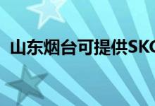 山東煙臺(tái)可提供SKG空調(diào)維修服務(wù)地址在哪