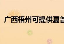 廣西梧州可提供夏普空調(diào)維修服務(wù)地址在哪