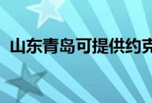 山東青島可提供約克空調(diào)維修服務(wù)地址在哪