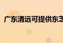 廣東清遠(yuǎn)可提供東芝空調(diào)維修服務(wù)地址在哪