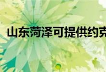 山東菏澤可提供約克空調(diào)維修服務(wù)地址在哪