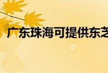 廣東珠?？商峁〇|芝空調(diào)維修服務(wù)地址在哪