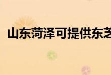 山東菏澤可提供東芝空調(diào)維修服務(wù)地址在哪